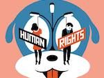15. HUMAN RIGHTS FESTIVAL