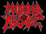 MORBID ANGEL UPDATE
